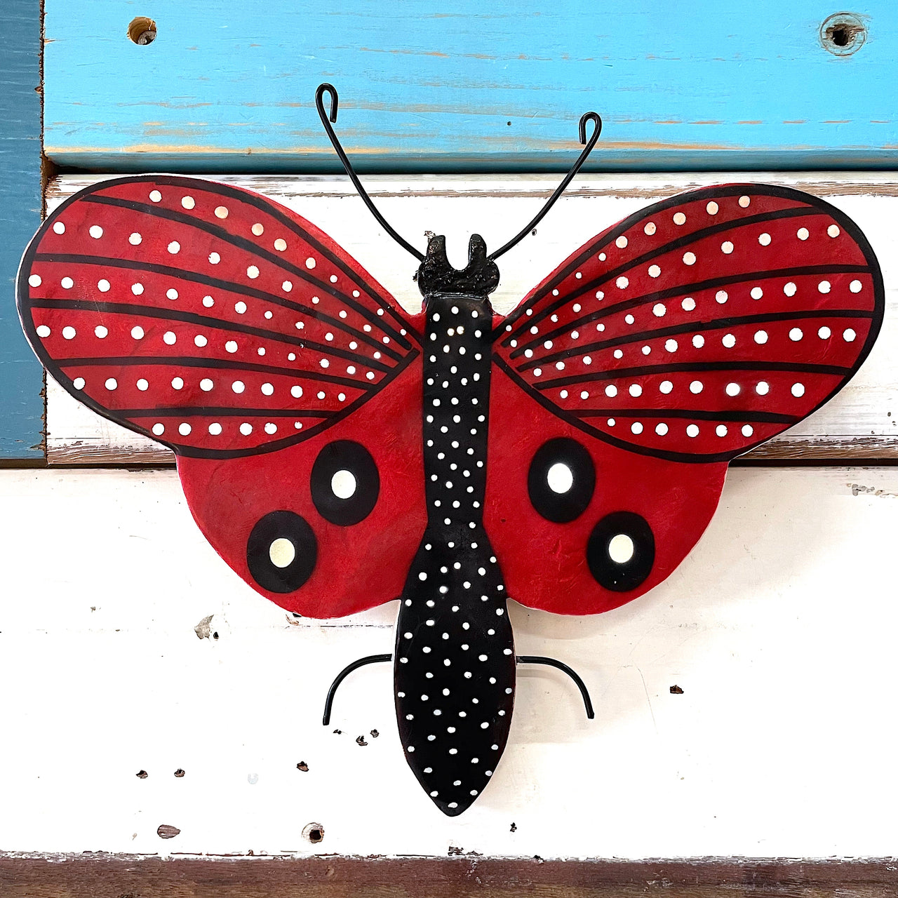 Rasberry Moth