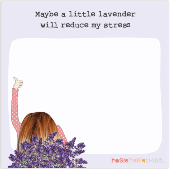 Lavender Mini Jots Pad