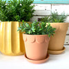 Trench Pot - Marigold - WAS $52.95
