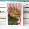 Maxi Woodblock - Pincushion Protea