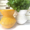 Speck Vase in Mustard Yellow - WAS $59.95