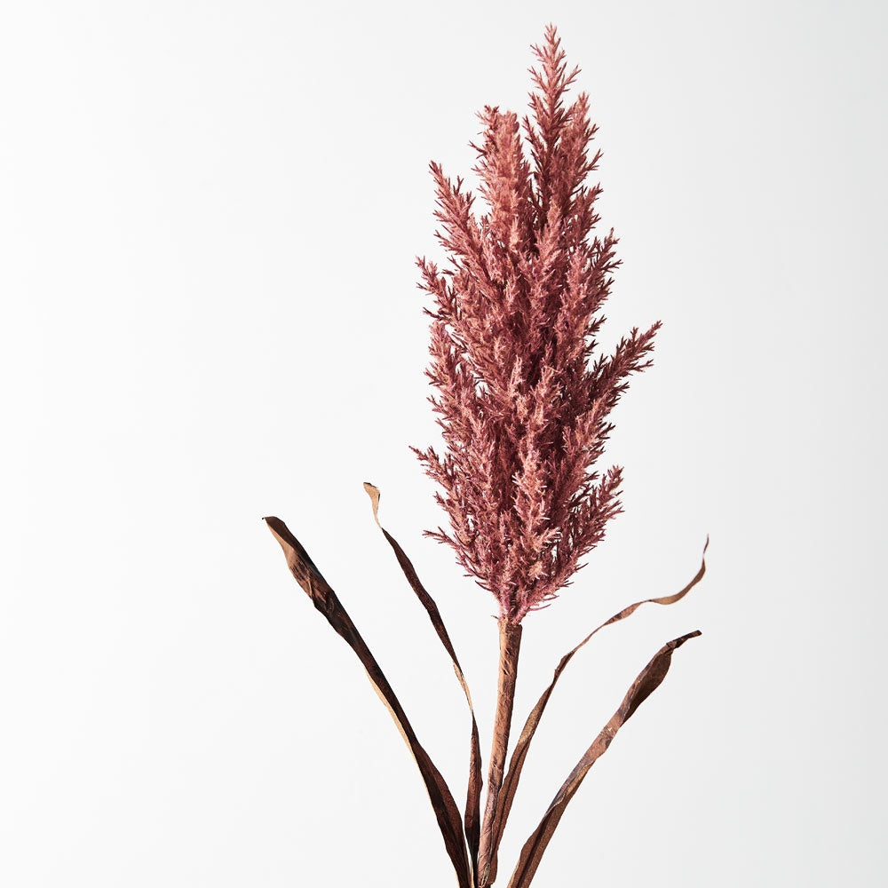Plume Grass w/leaf - Dusty Pink